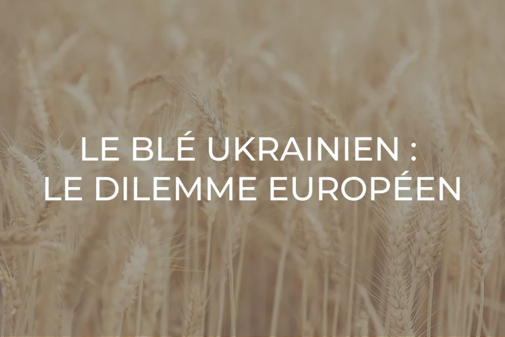 dilemme blé ukrainien