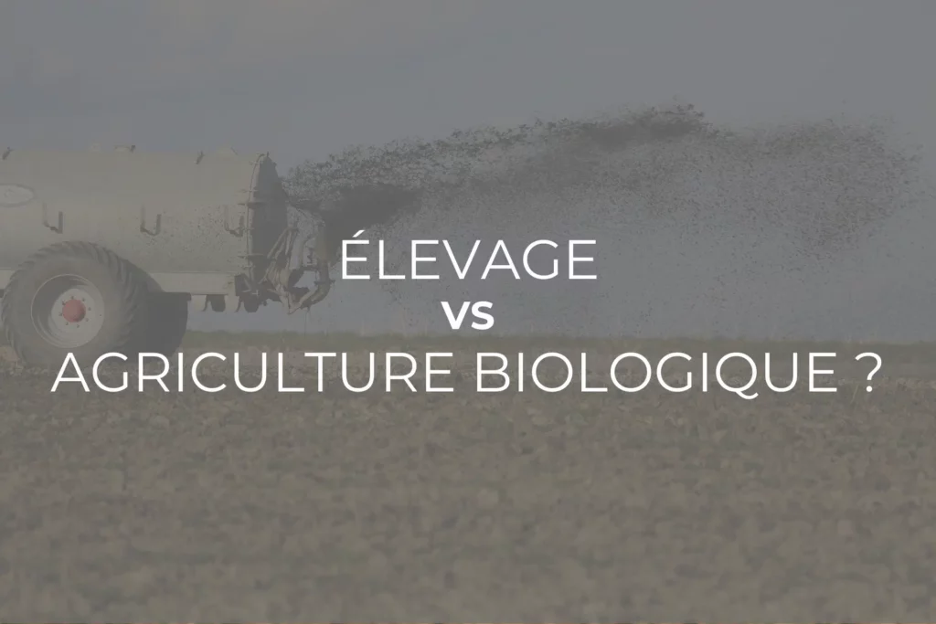 elevage et ab