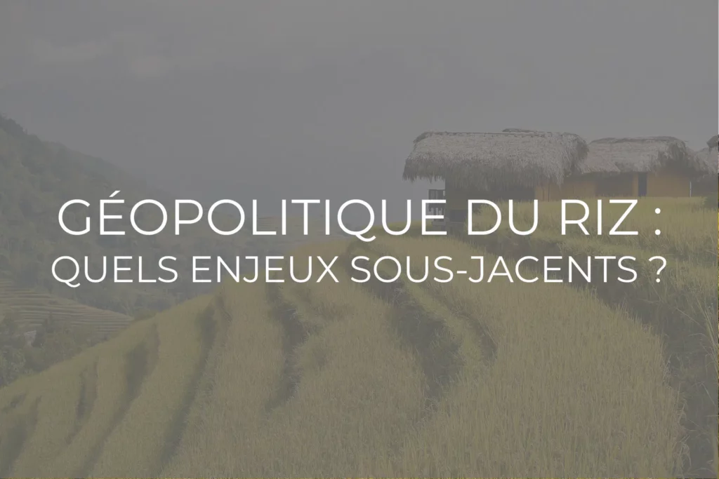 géopolitique riz