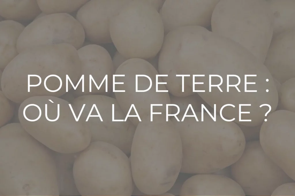 pomme de terre