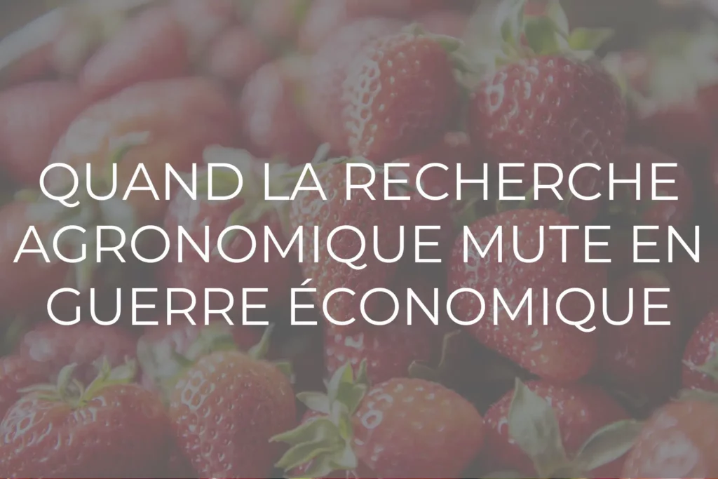 recherche guerre economique