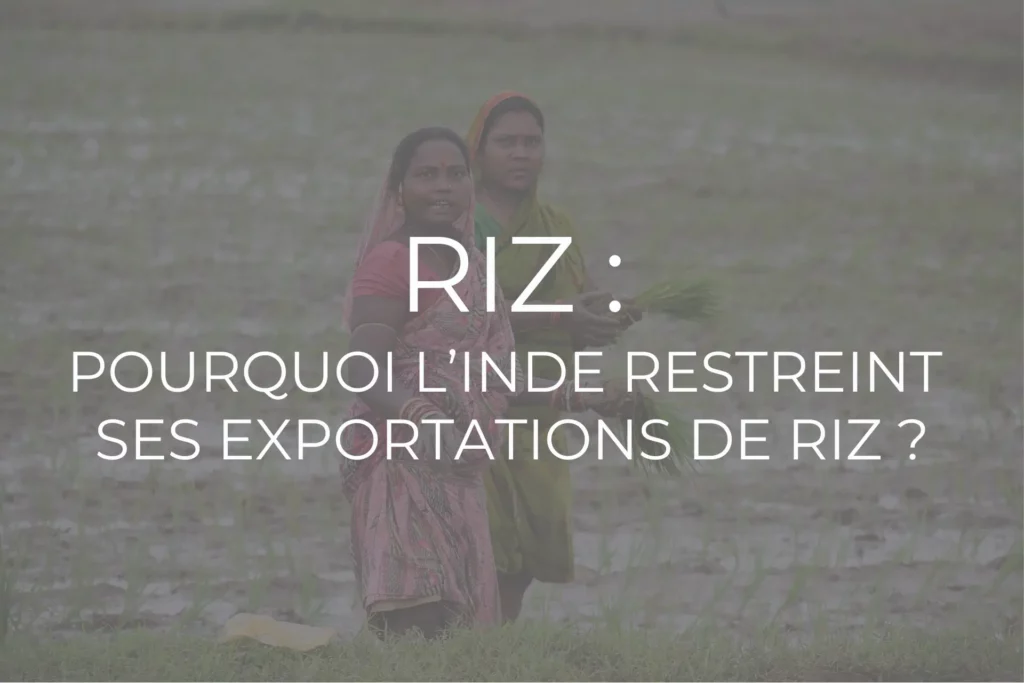 riz inde exportation