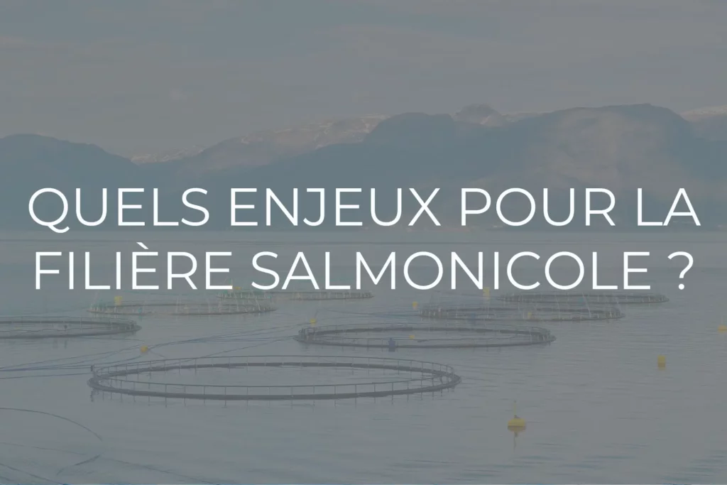 saumon geopolitique